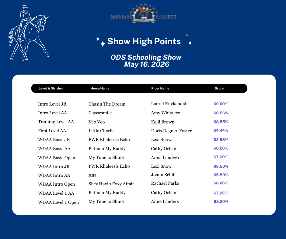 ODS_High_Scores_1_.png