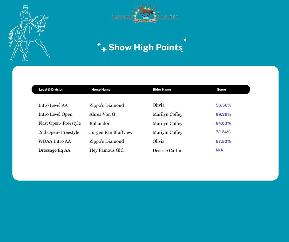 ODS_High_Scores_7.26.25.png