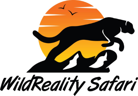 https://wildrealitysafari.com