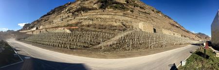 Sion_vinyards_1564510833.JPG