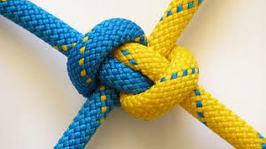 Knot.jpg