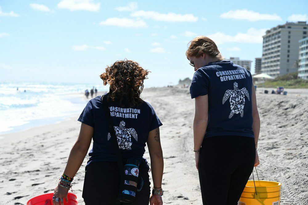 Beach Cleanup Loggerhead