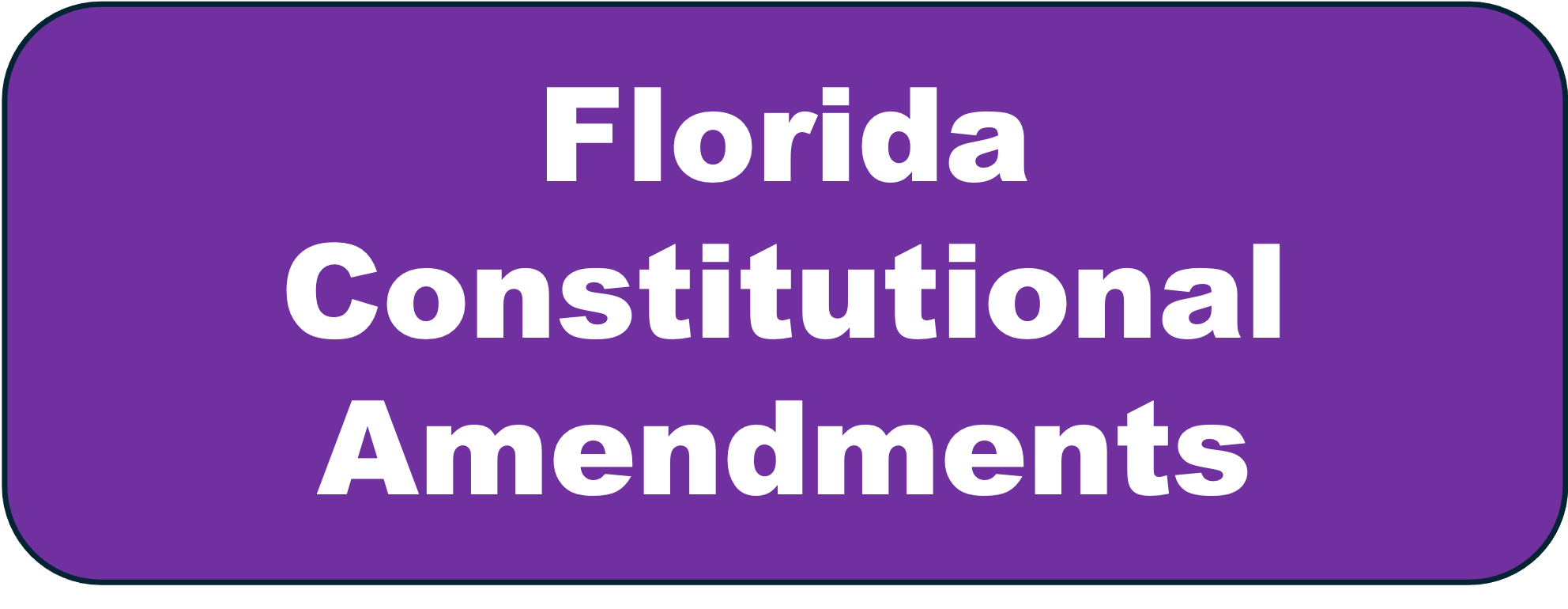 FL Const. Amendments