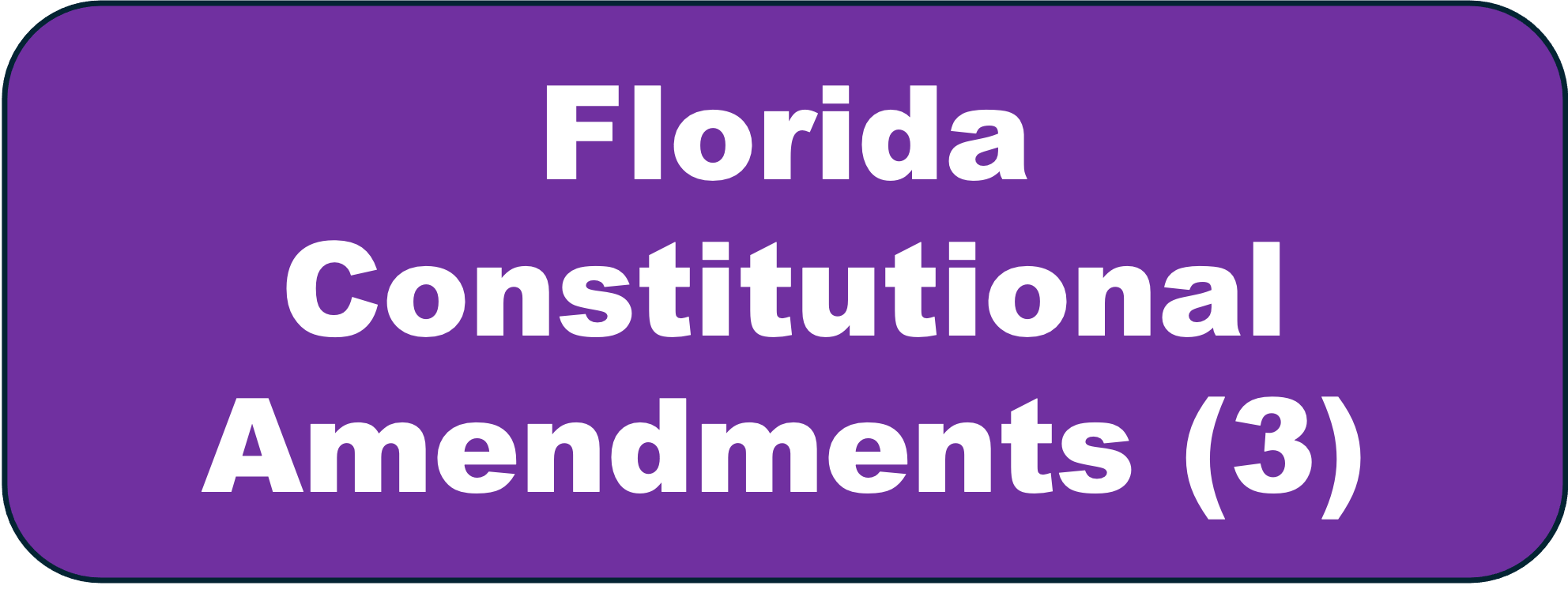 FL Const. Amendments