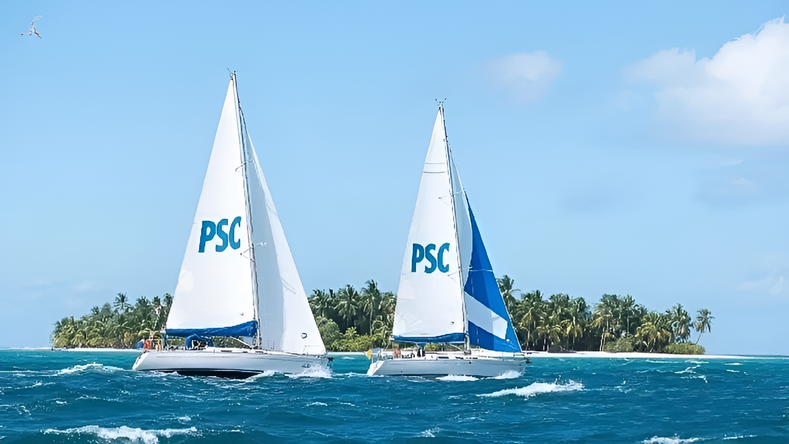 PSC_sails_Tropical-Picsart-AiImageEnhancer.png