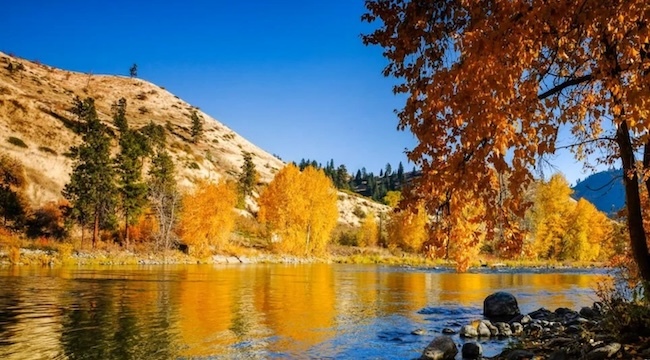 Fall Foliage