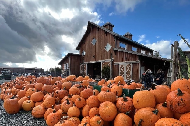 Carleton Farms 1