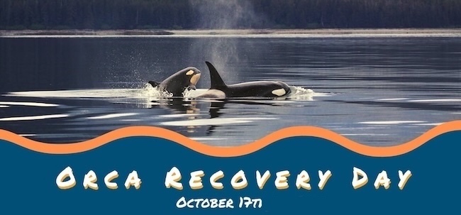Orca Day 2026