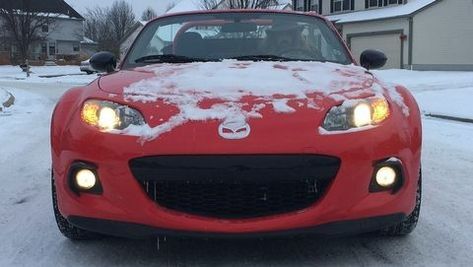 PolarBearMiata