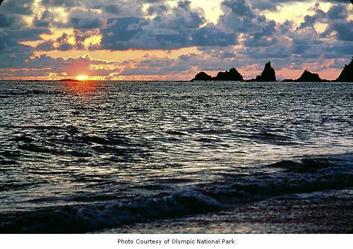 RialtoBeach