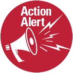 Action Alert!
