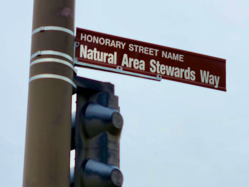New honorary street sign unveiled in April