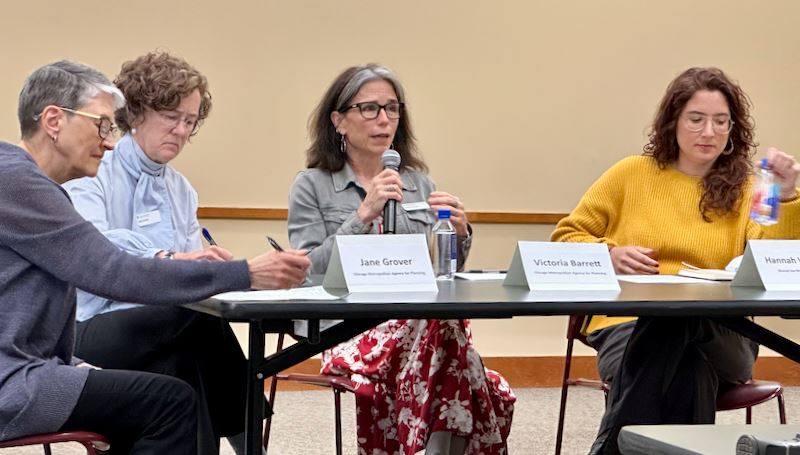 Beyond the Automobile panel with Paula Scholl as moderator