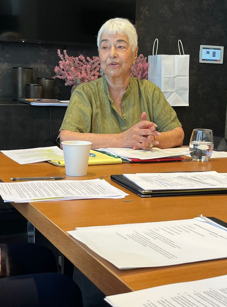 Gail Weisburg leads pollwatcher training