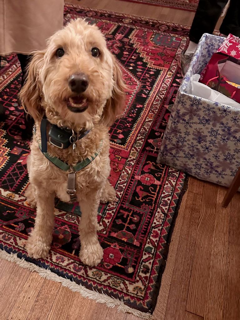 2025 Holiday party, guarding the donations