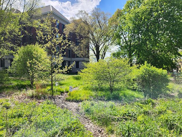 Morton Civic Center Garden