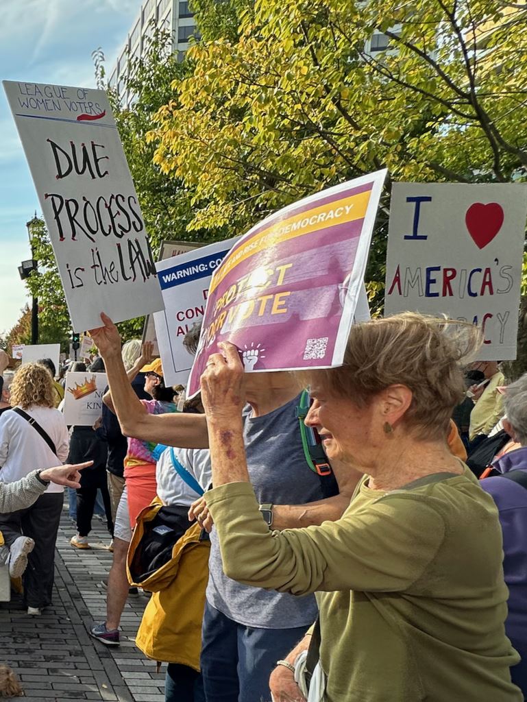 Signs: Protect our vote.