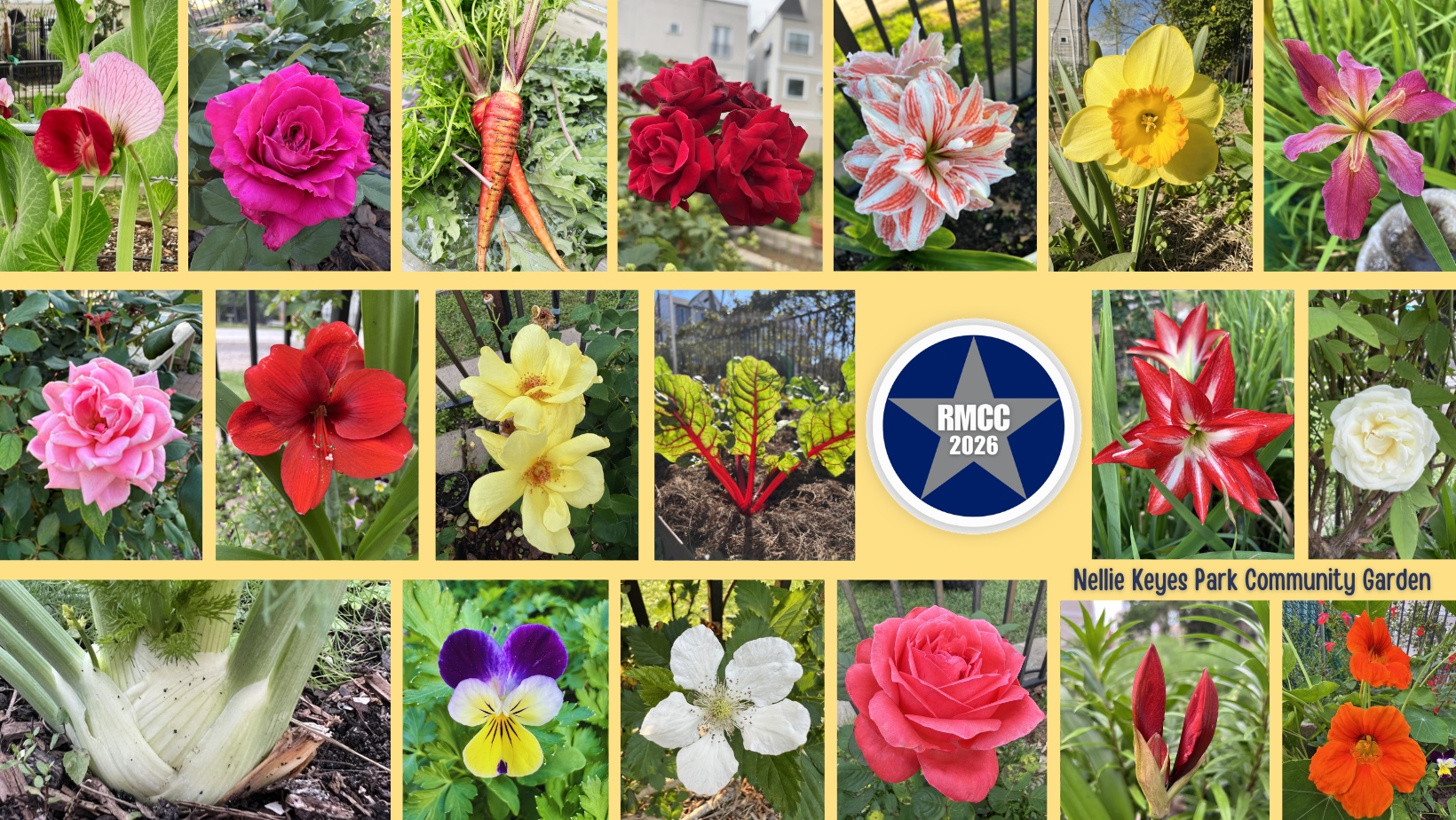 Garden Image 2026