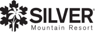Silver Logo