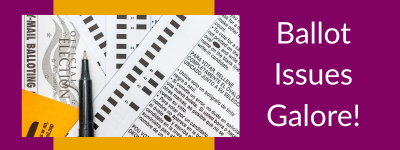 Home_Ballot-Issues_Aug2026.png