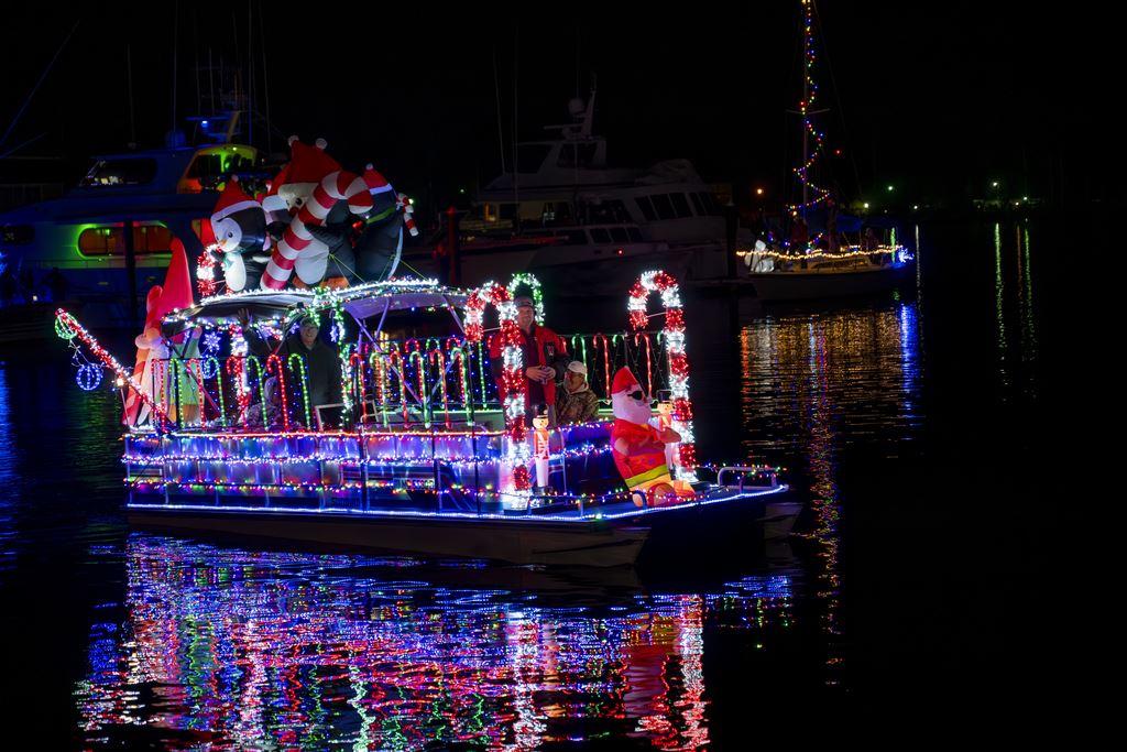 SECOND PLACE WINNER: Tocky Lawrence "WEE BEE IDIOTS"