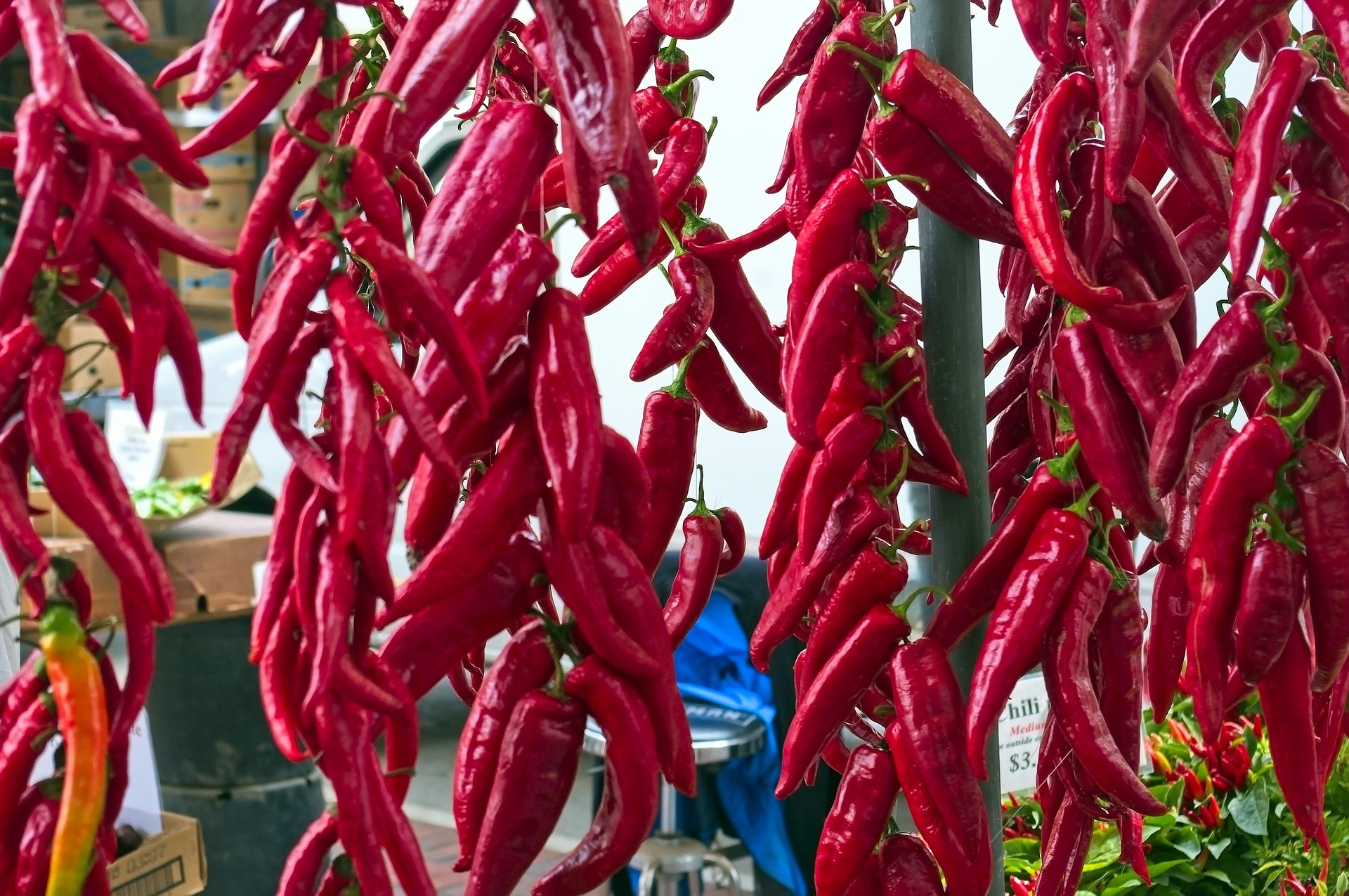 Food chili peppers at farmers market