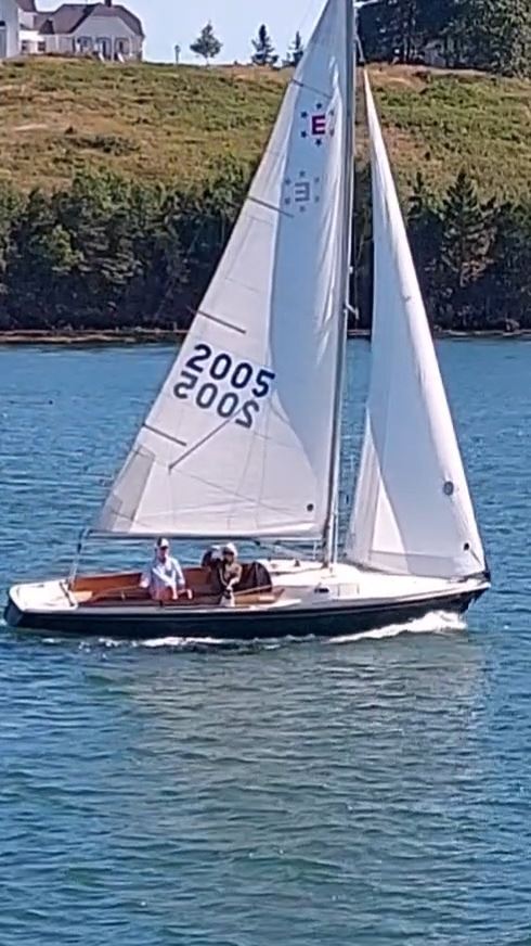 bl 2005 3