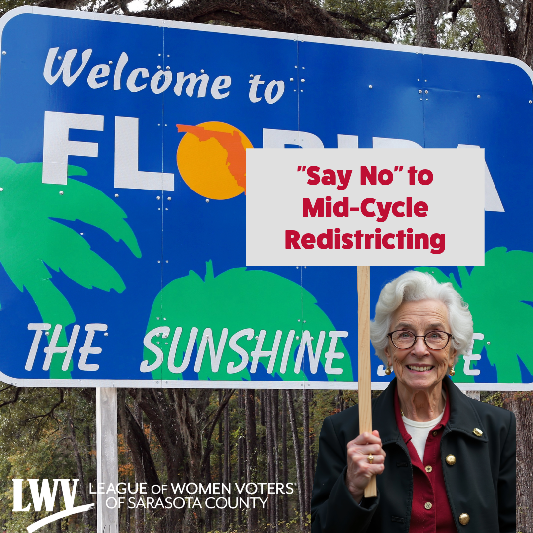 Say No Protest Sign