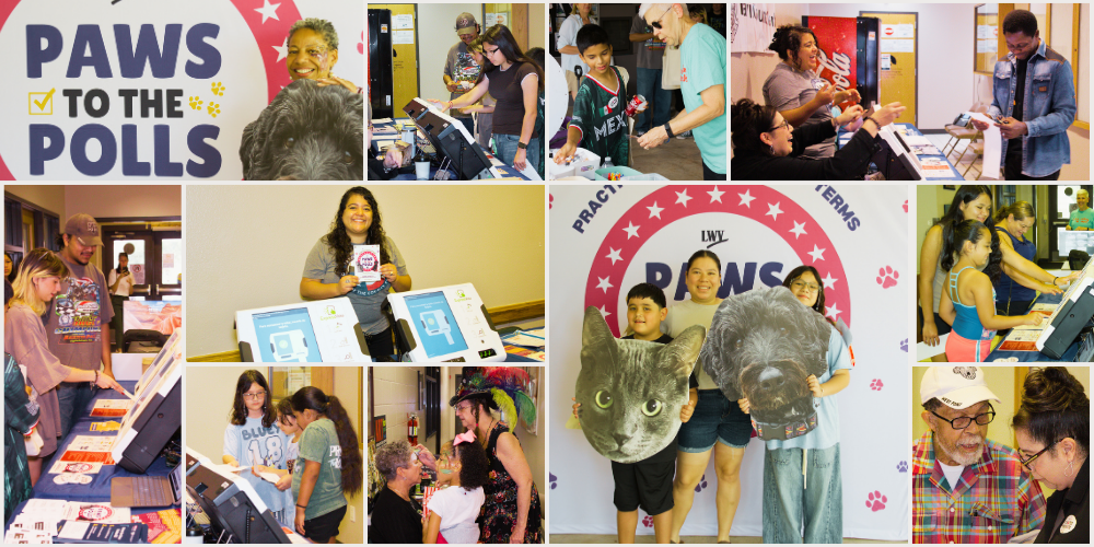 26.07.01 Manor PAWS photo collage