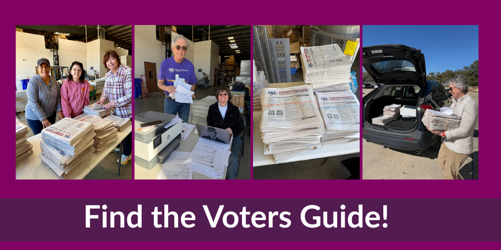 Find the Voters Guide