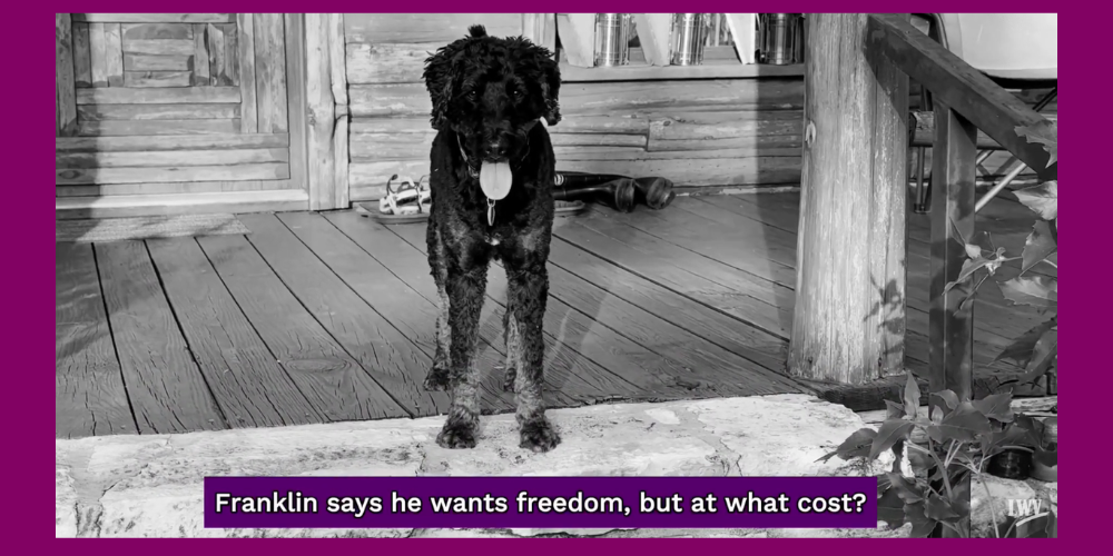 Franklin Attack ad