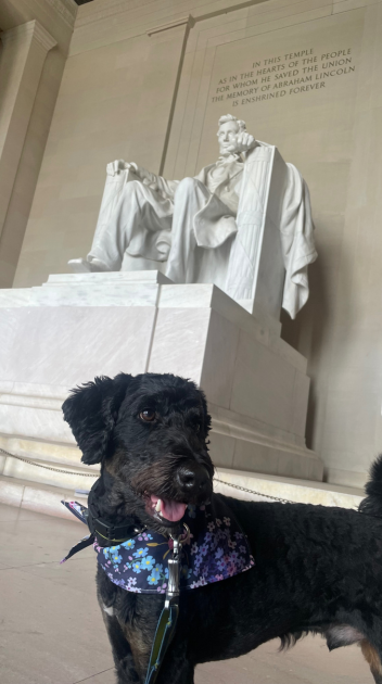 Franklin at the Lincoln Memorial