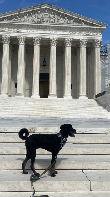 Franklin at the Surpeme Court Building