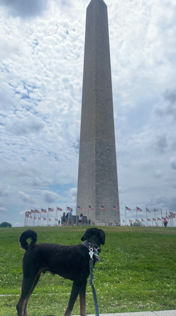 Franklin at the Washington Monument