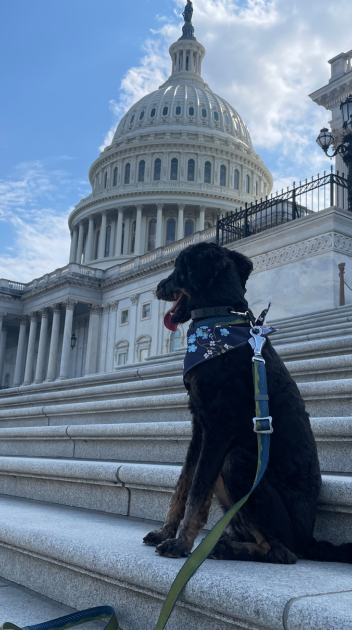 Franklin at the U.S. Capitol