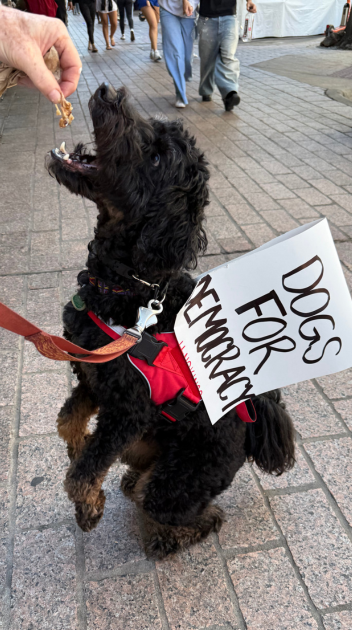 Franklin needs his energy for the No Kings Protest