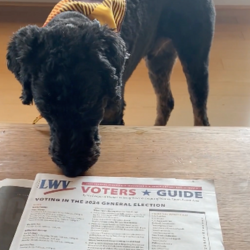 Franklin with the Voters Guide