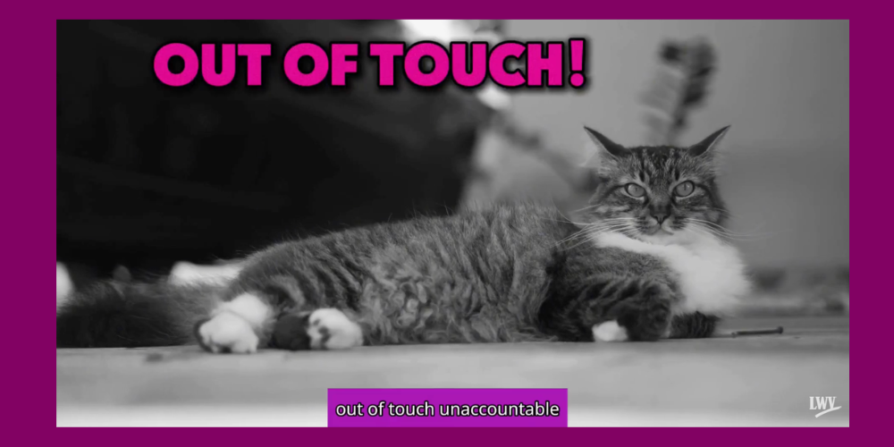 Gus Attack Ad