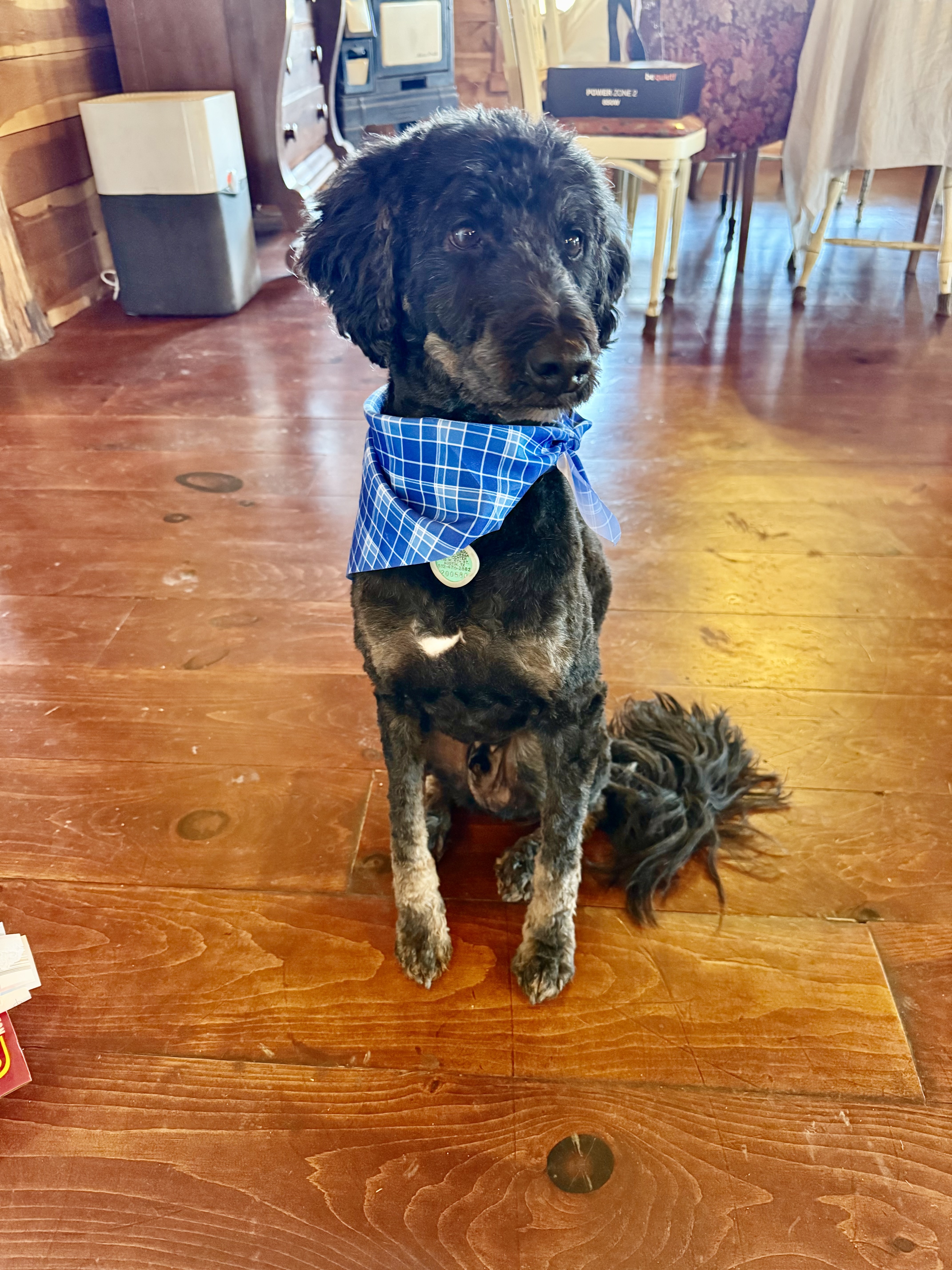 Franklin