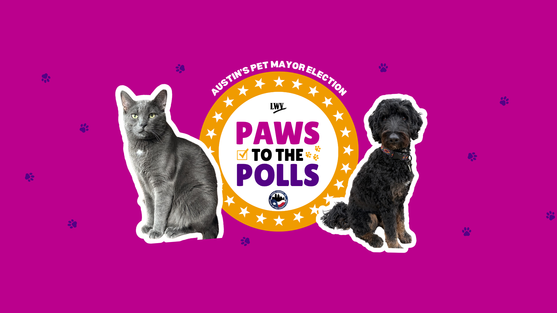 PAWS_general_banner.png