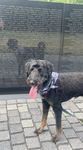 Franklin at the Vietnam Memorial