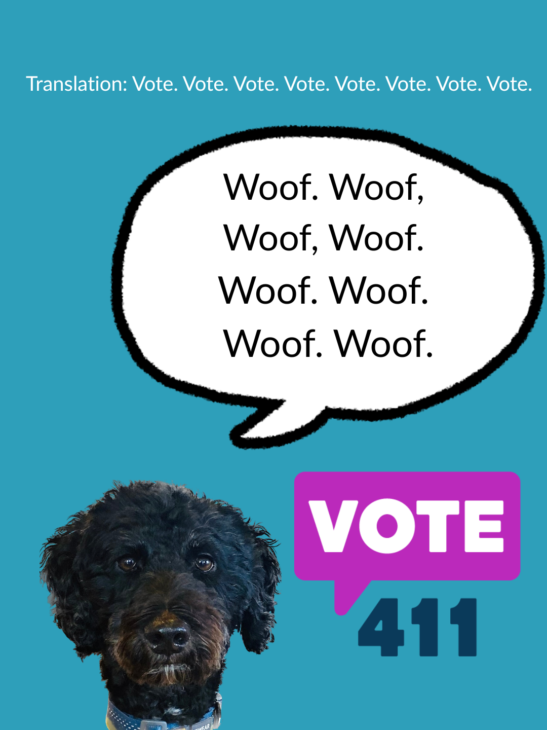 Franklin Vote411