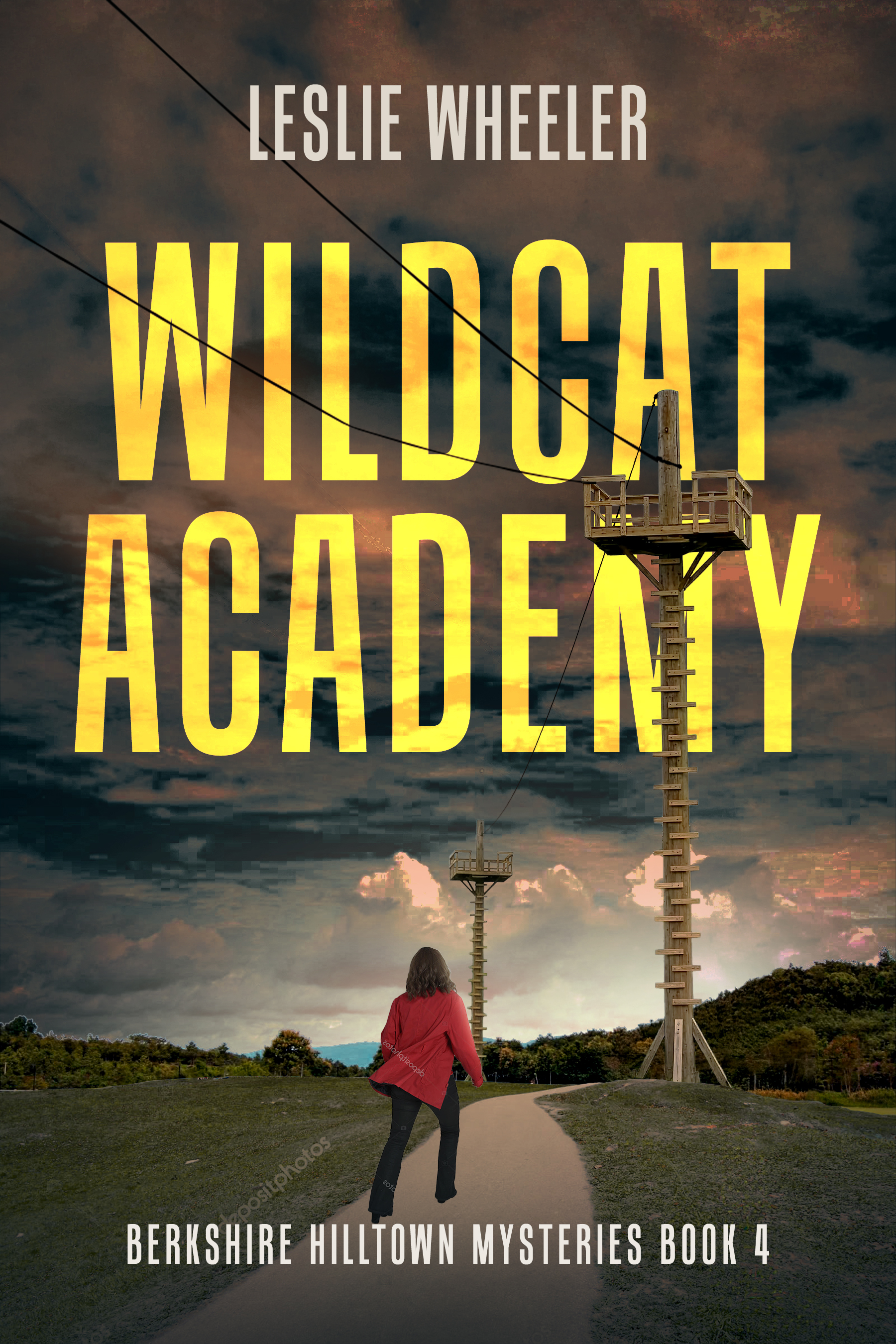Wildcat Academy