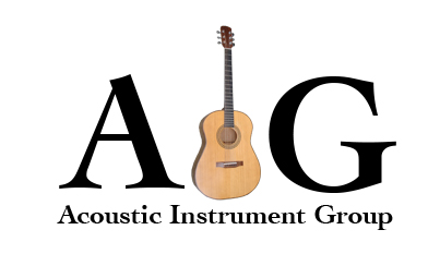 AIG logo WITH text resized