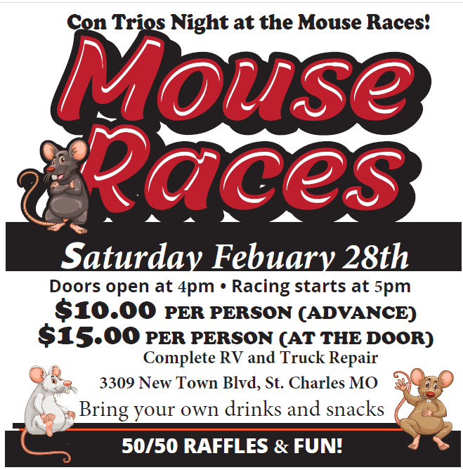 Mouse_Races_2026-02-01_122720.png