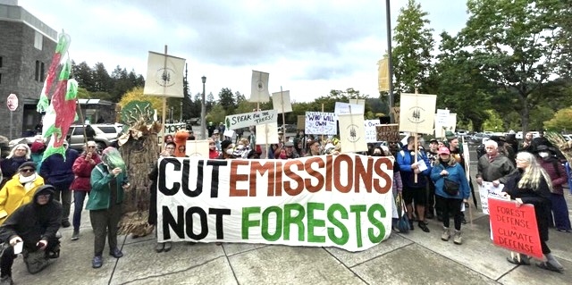 cut-emissions-not-forests.-jpg-1.jpg
