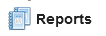Module-Reports