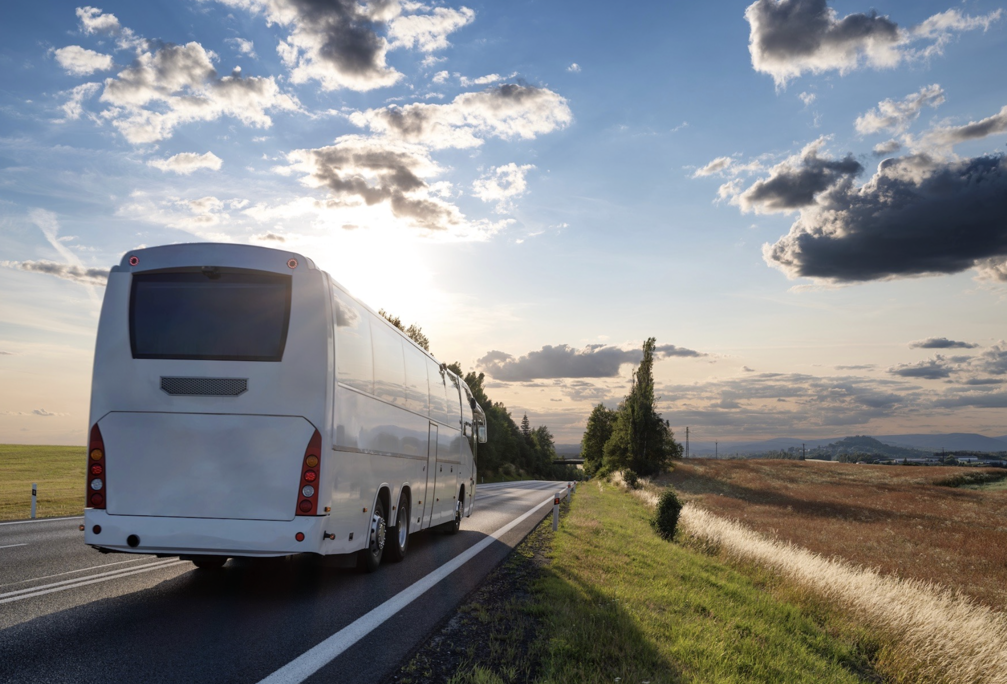 bus
