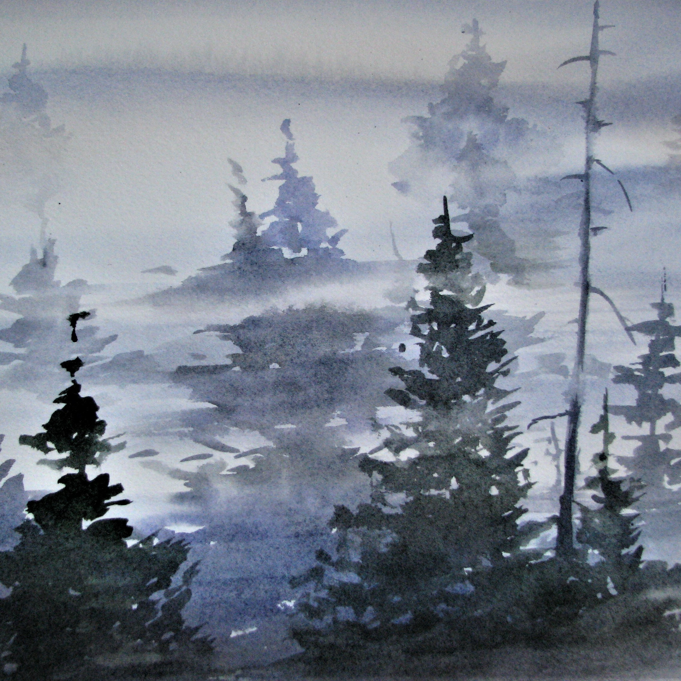 2026_01_29_foggyforest1