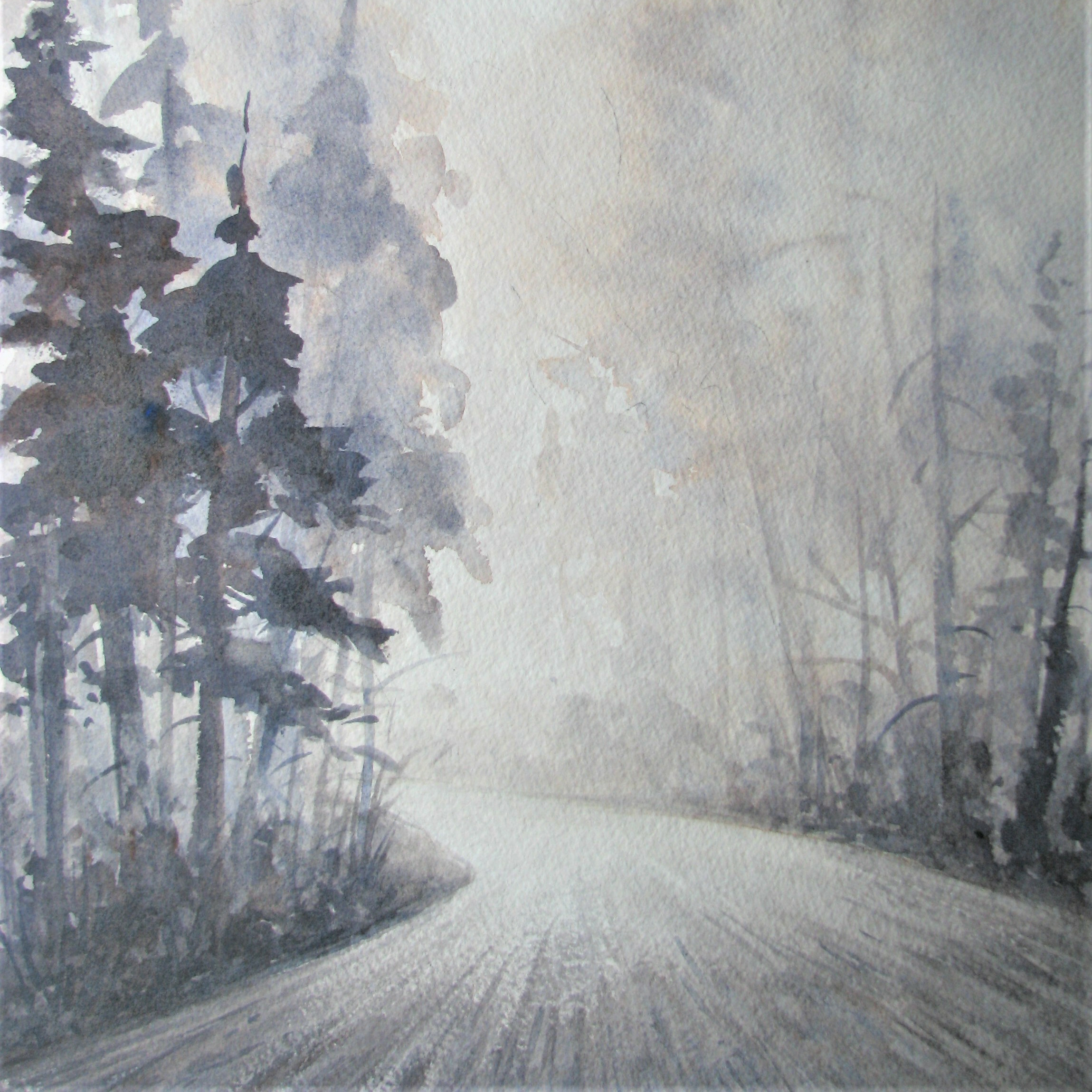 2026_01_29_foggyforest2